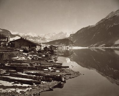 Lake Brienz by Adolphe Braun